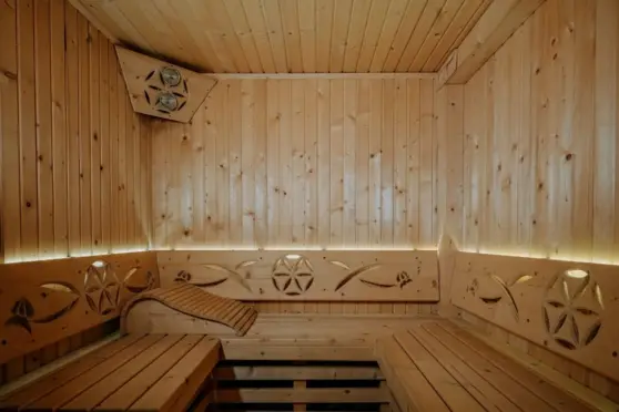 Gordonówka Apartamenty & SPA Szaflary sauna