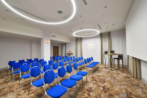 Sala konferencyjna - 60 m2