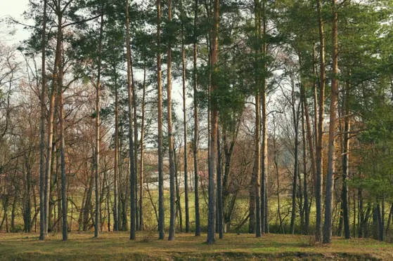 Hotel Nowodwory Ciechanowiec otoczenie