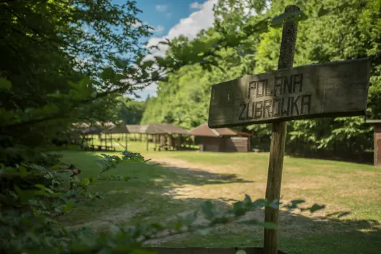 Hotel Żubrówka Białowieża - zdjęcie 2