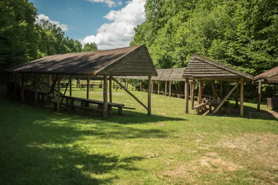 Hotel Żubrówka Białowieża - zdjęcie 1