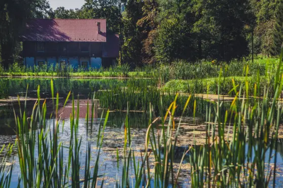 Rózin Pstrągarnia - otoczenie