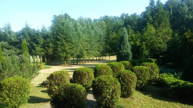 Centrum Szkoleniowo-Konferencyjne Uniwersytetu Łódzkiego (ul. Rogowska) - zdjęcie 1